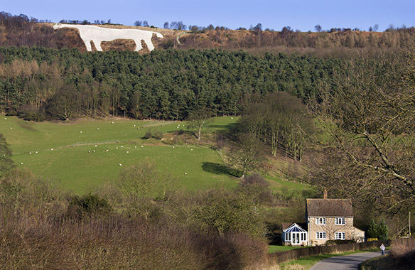 Sutton Bank National Park Centre